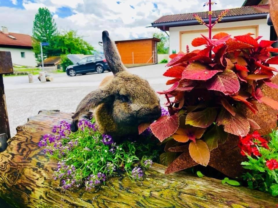 Restaurant Gaestehaus Wiesenheim Uderns Kültér fotó